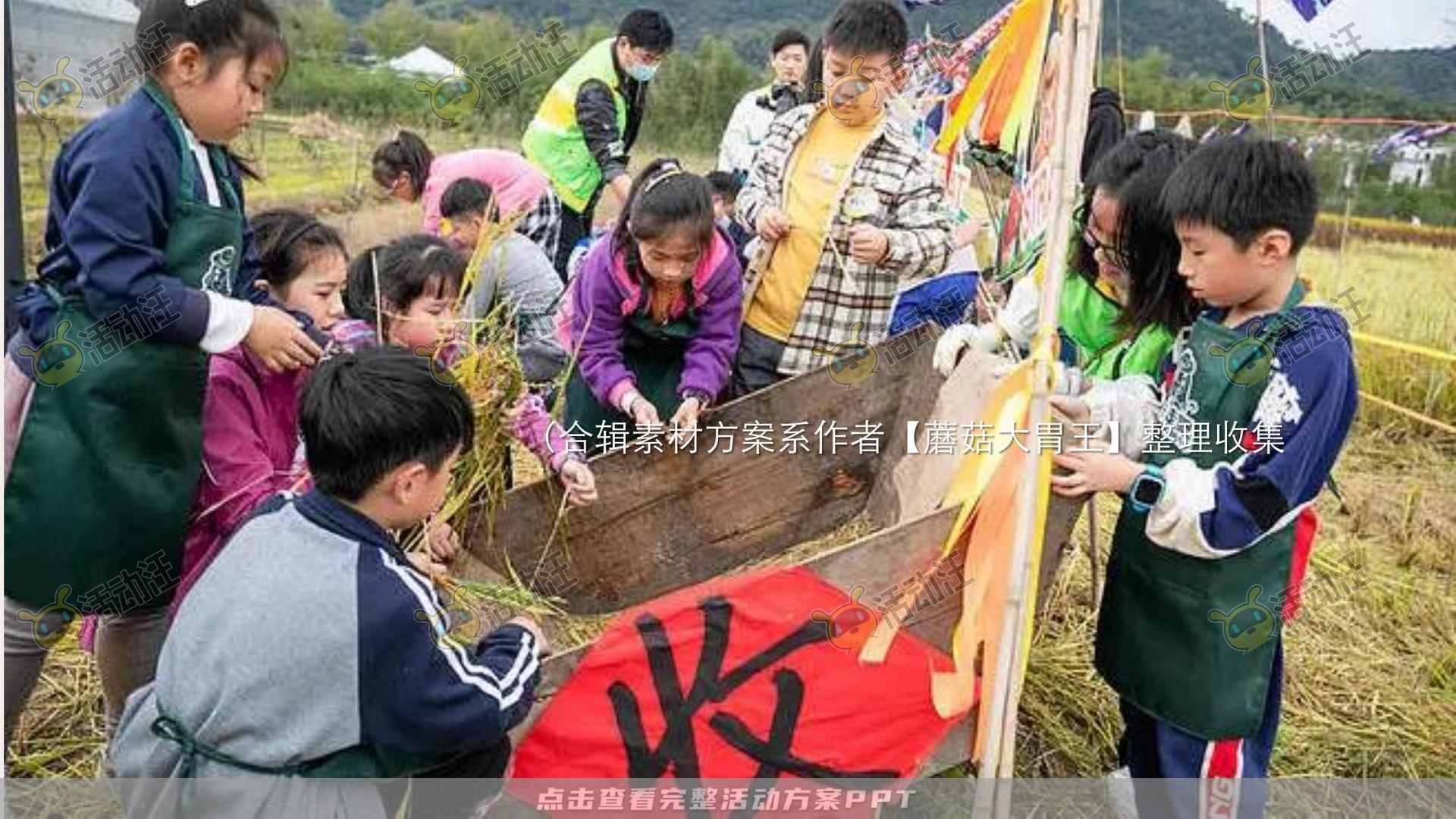 生活节活动策划方案