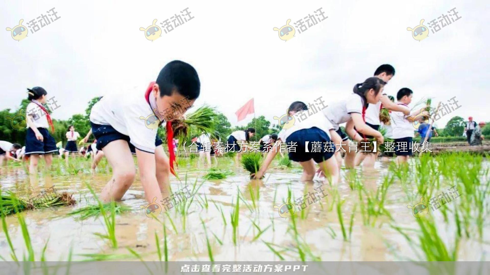 生活节活动策划方案