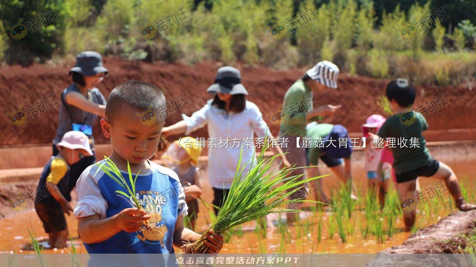 生活节活动策划方案