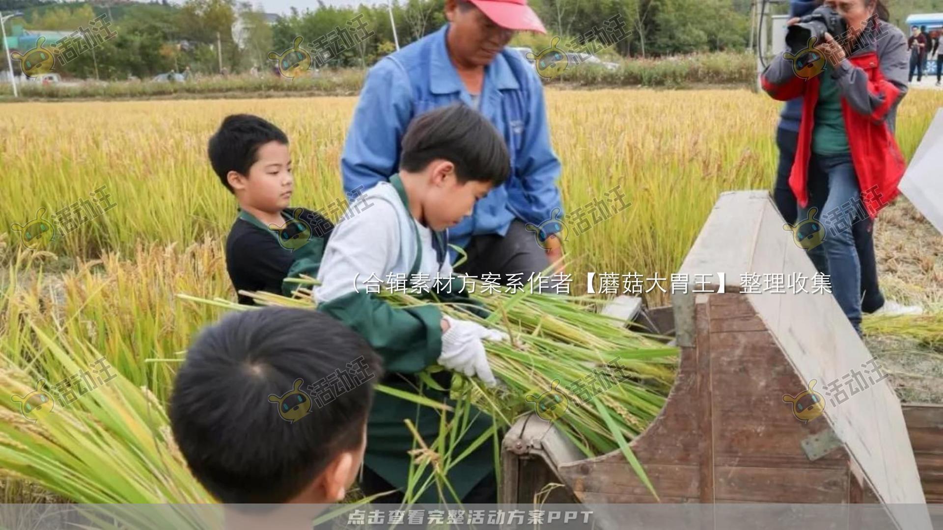 生活节活动策划方案