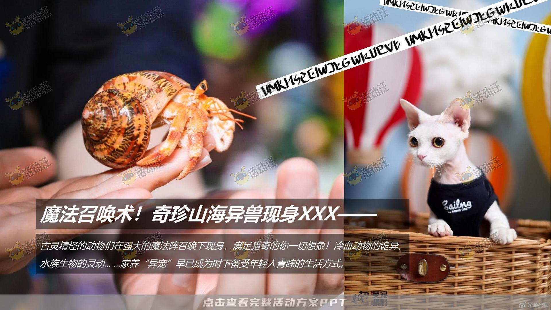 派对活动策划方案