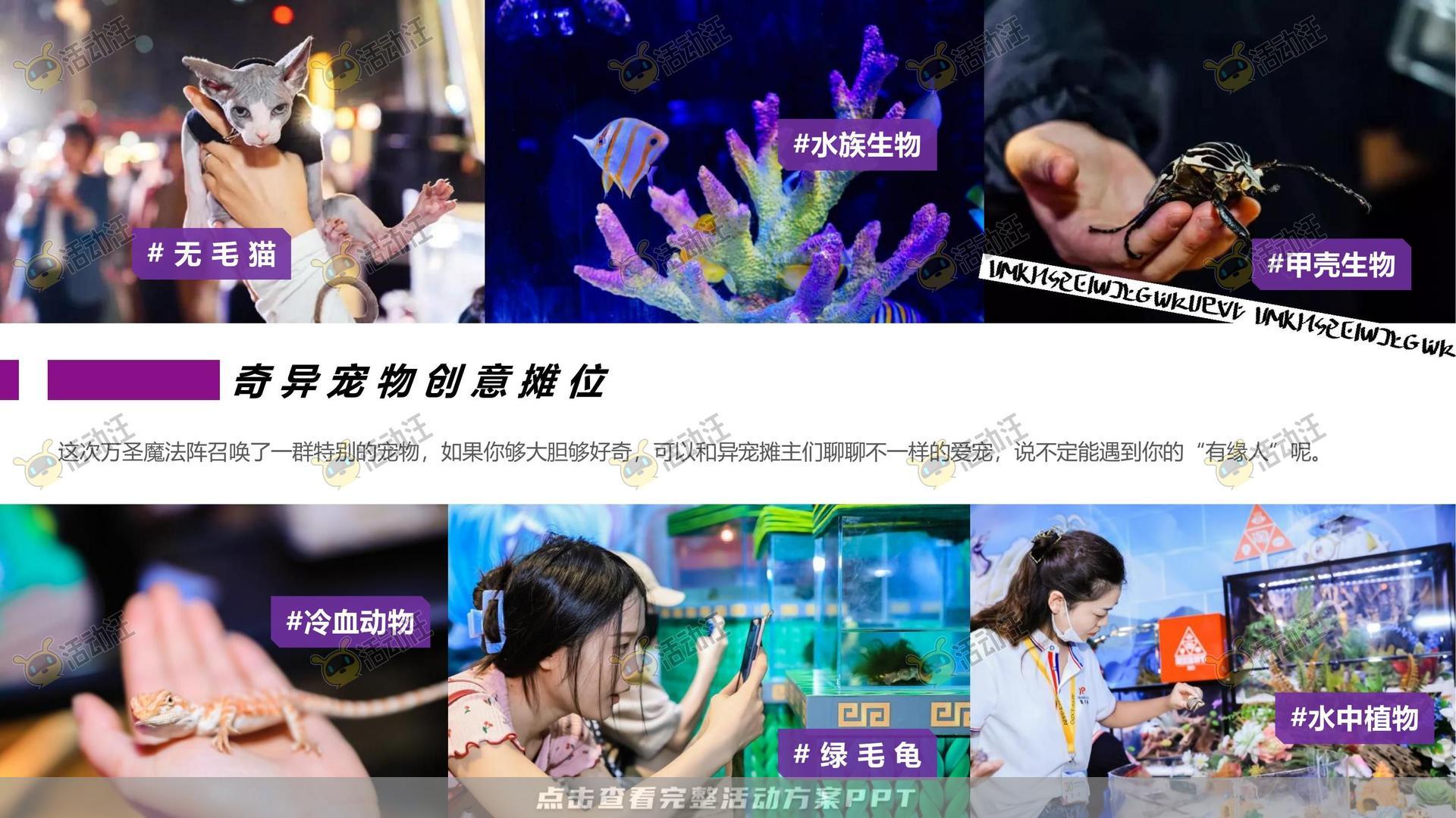 派对活动策划方案