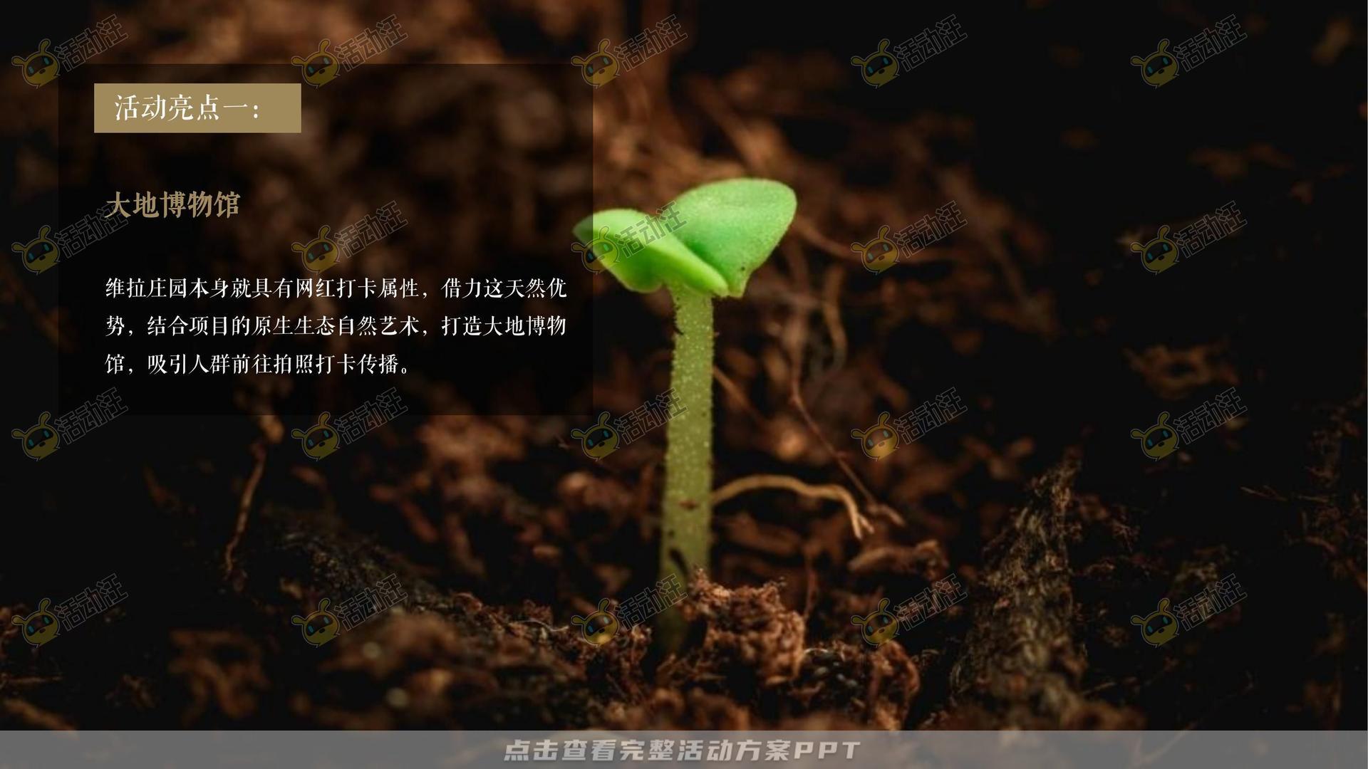 营销中心开放活动策划方案