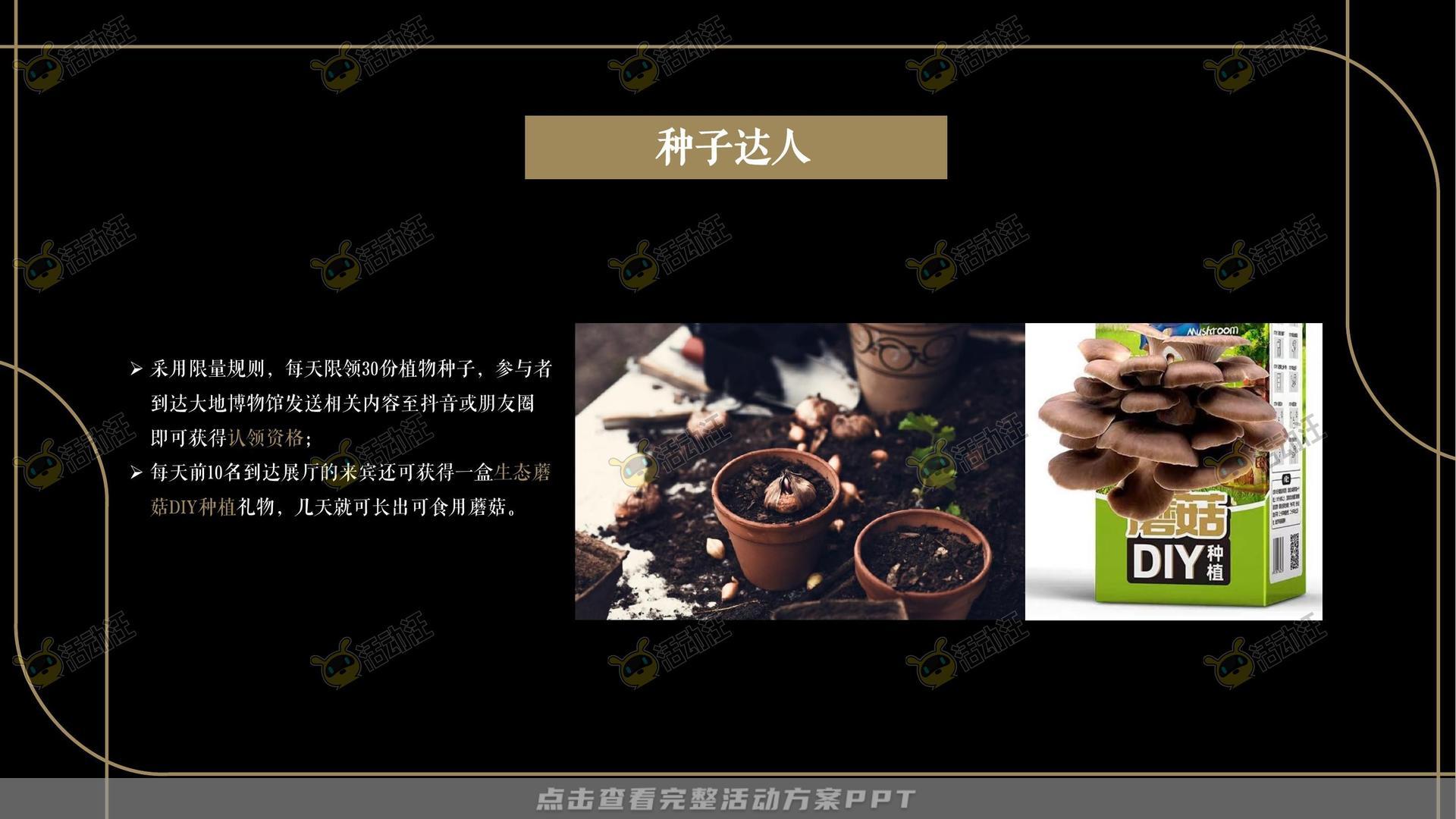 营销中心开放活动策划方案