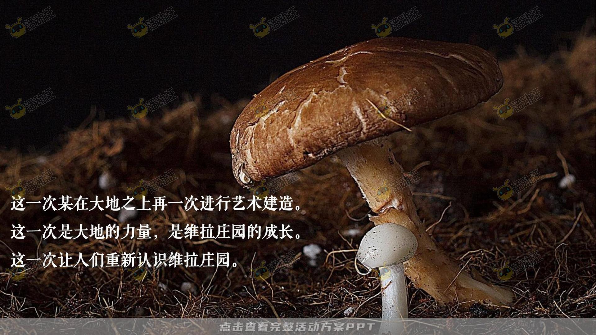 营销中心开放活动策划方案