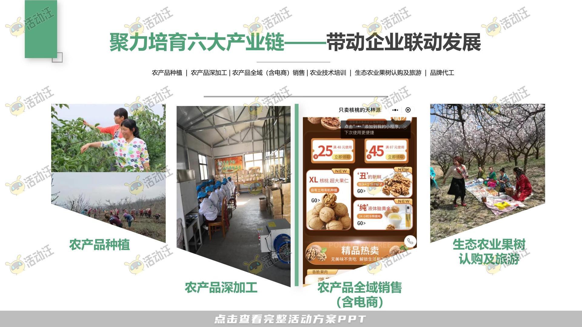 农业科技企业品牌宣传手册