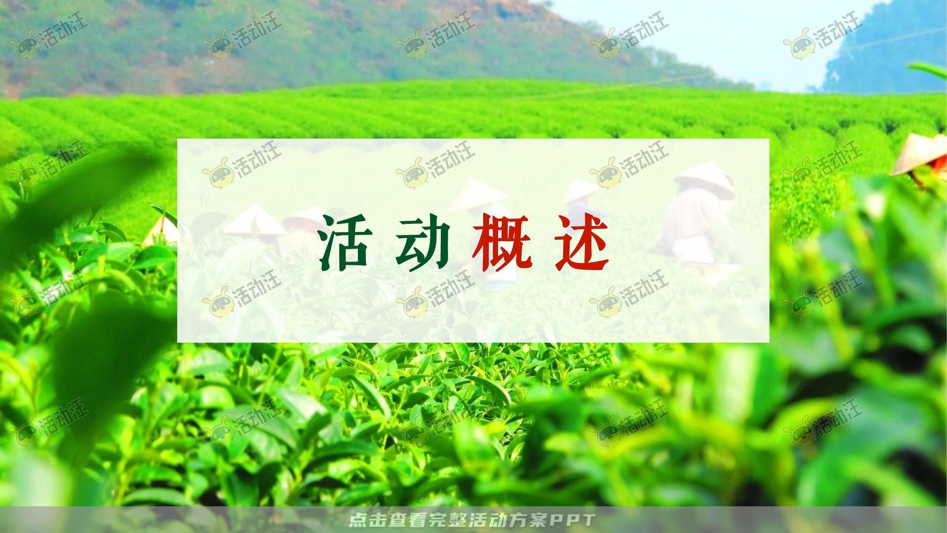 品牌营销方案