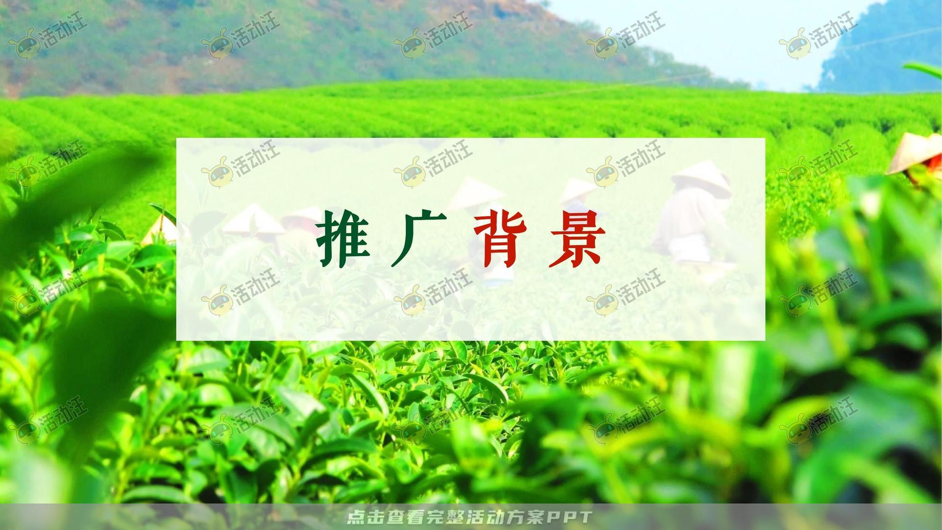 品牌营销方案
