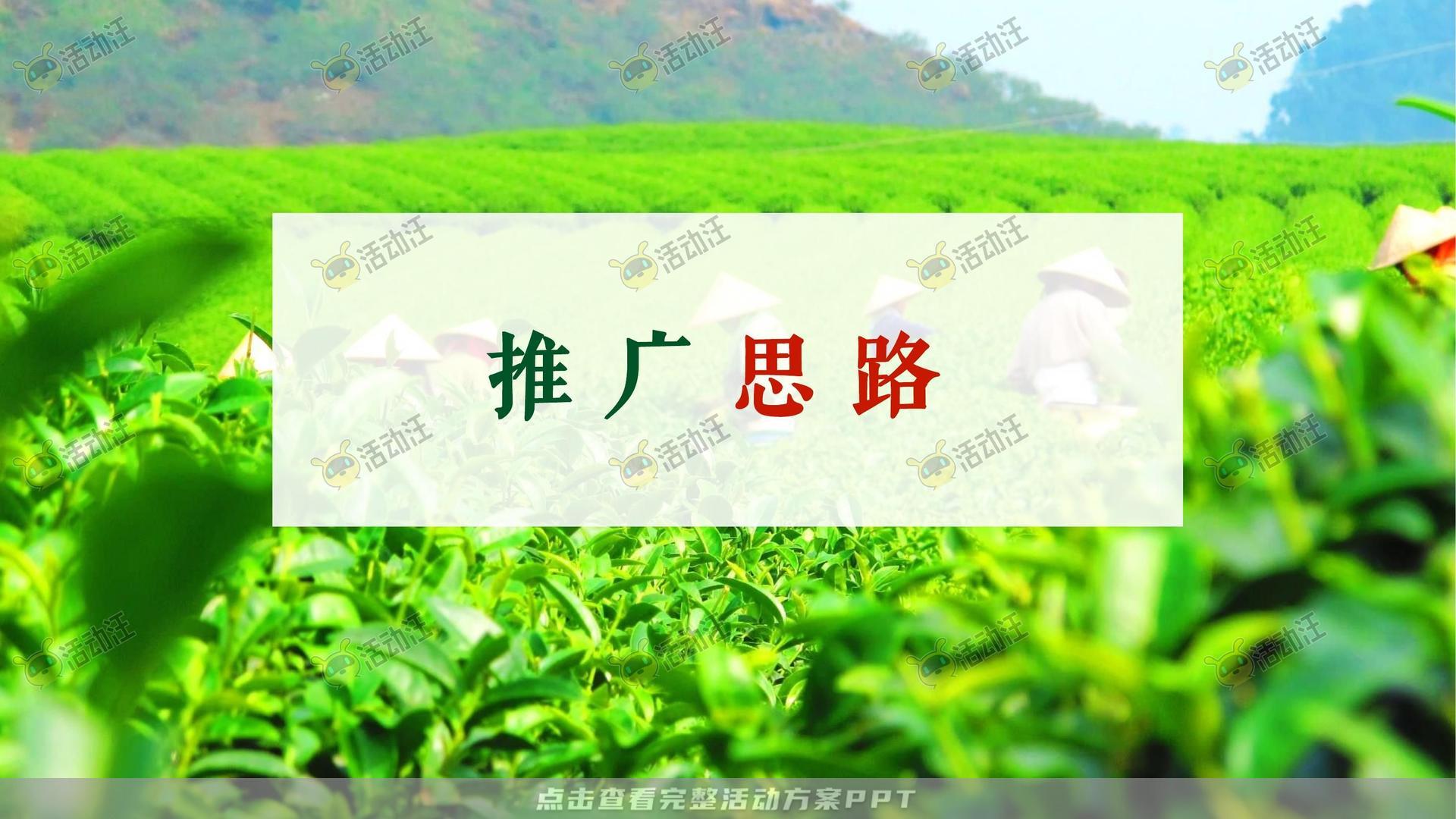 品牌营销方案