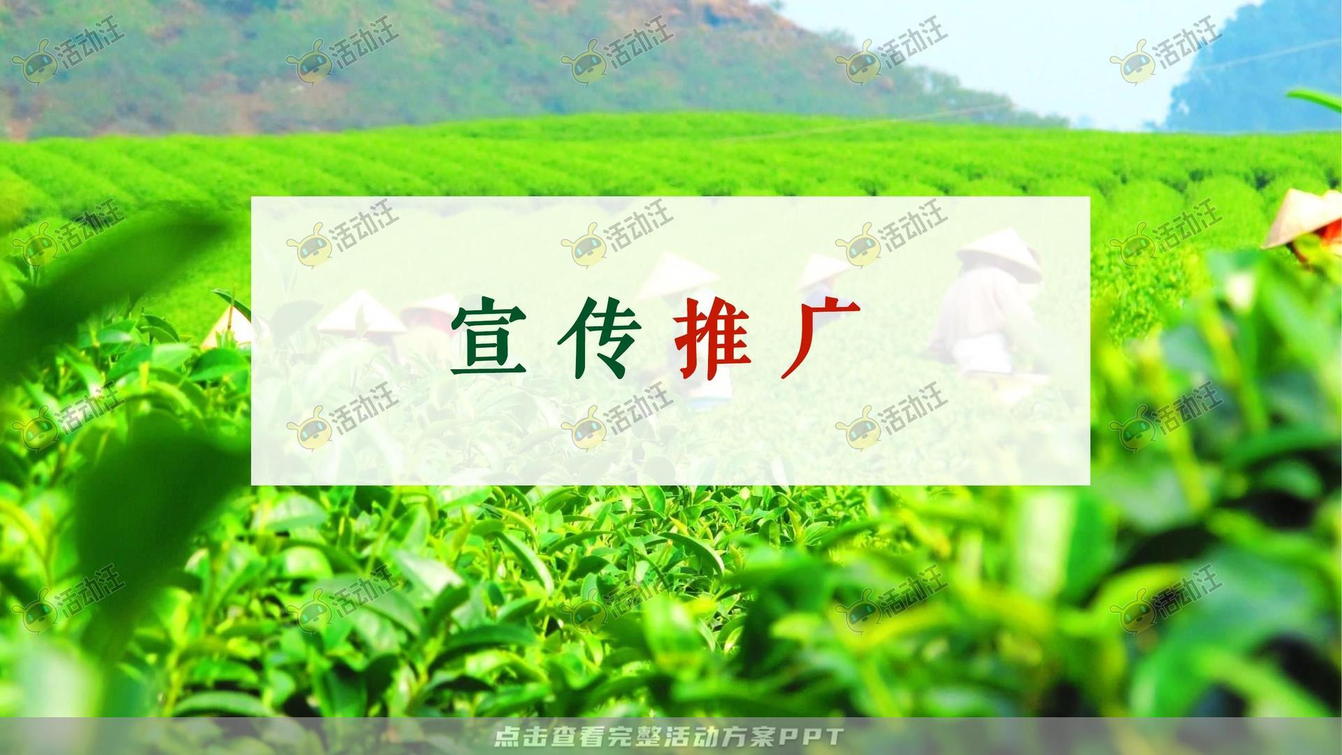 品牌营销方案