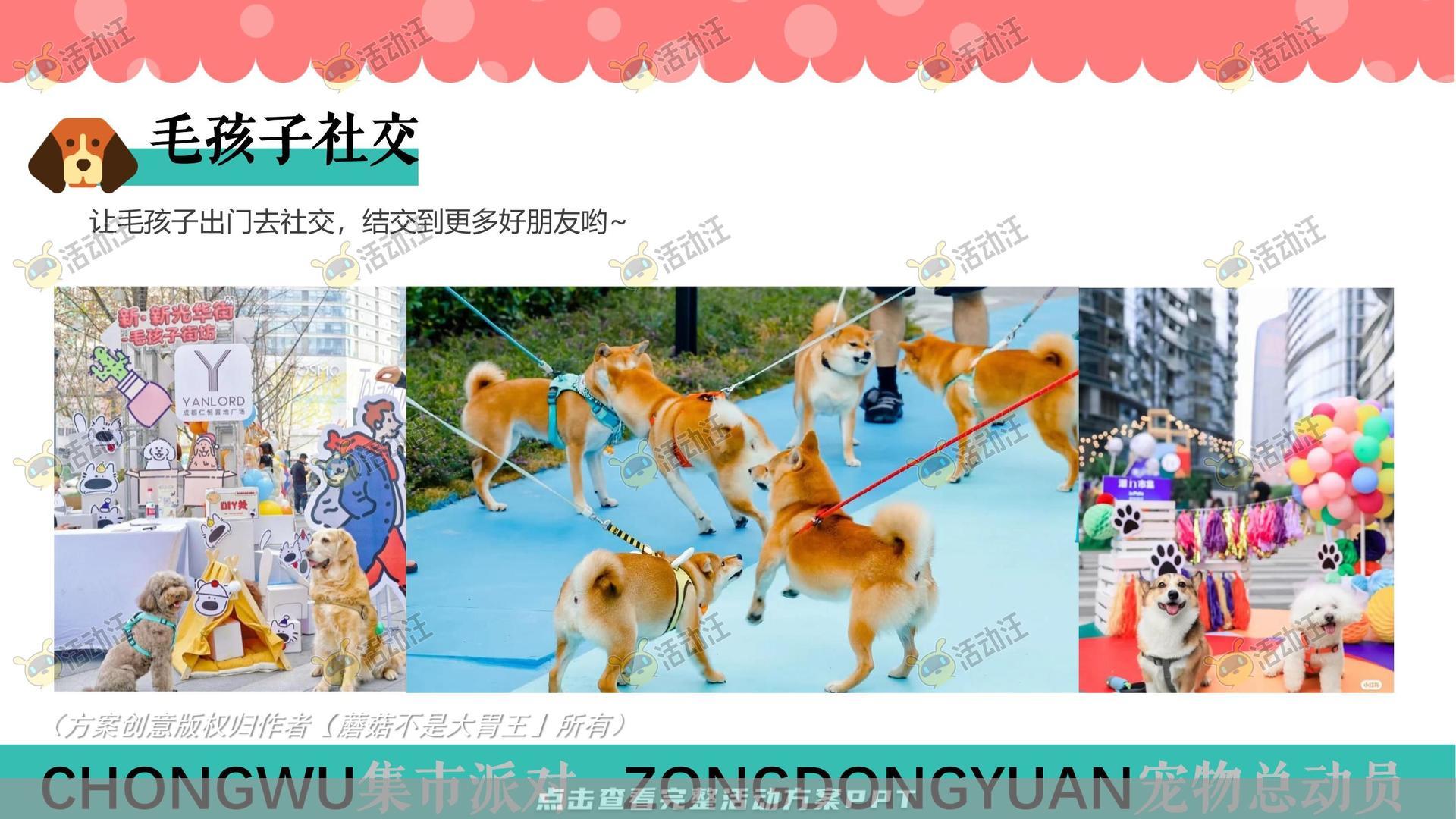 生活节活动策划方案