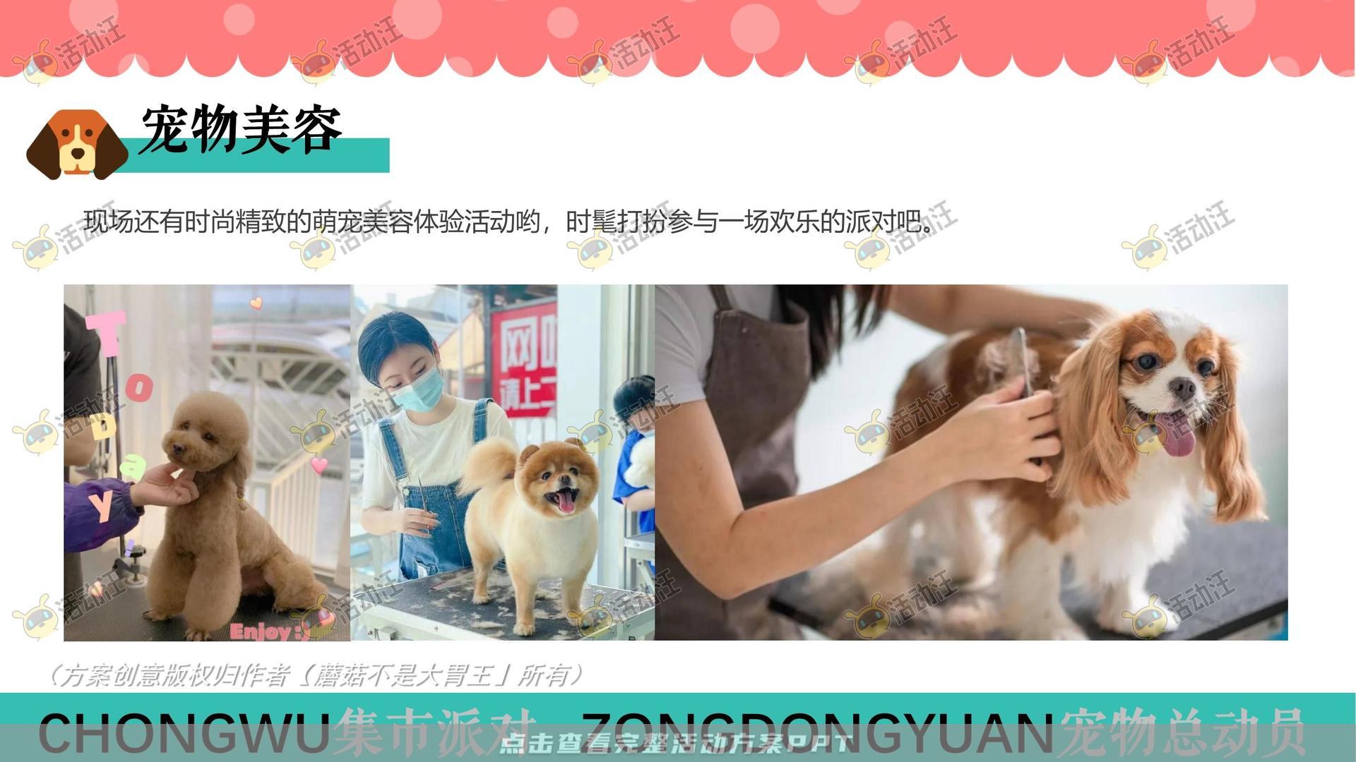 生活节活动策划方案