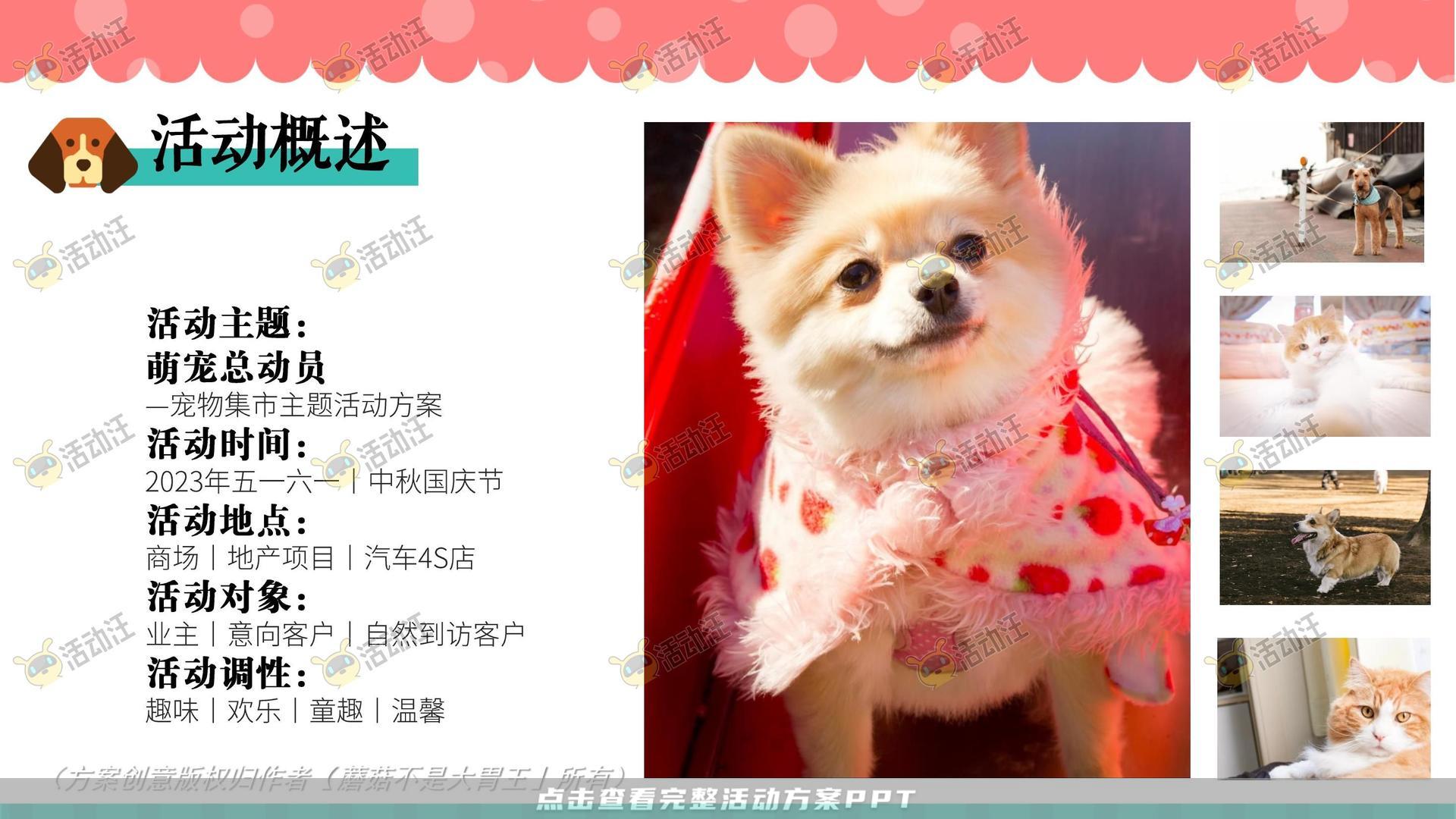 生活节活动策划方案