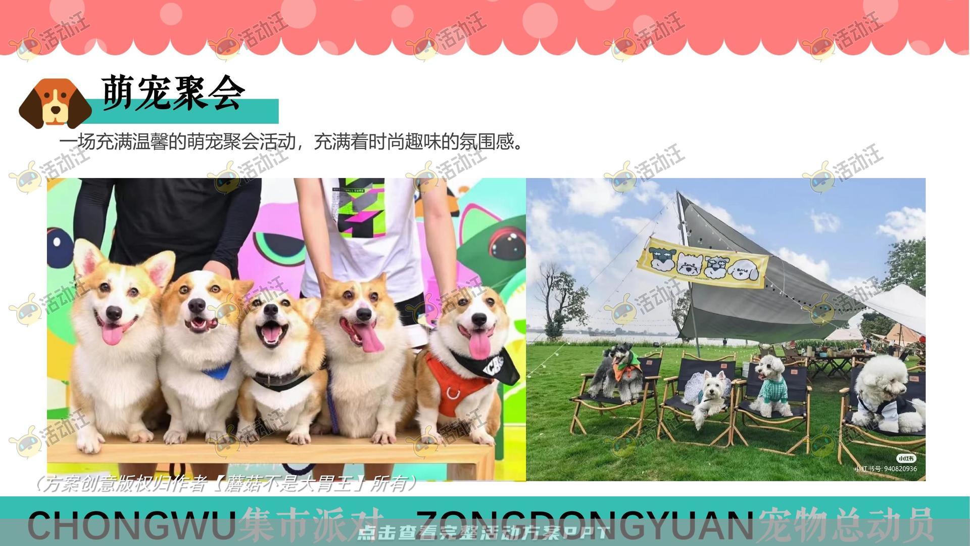 生活节活动策划方案