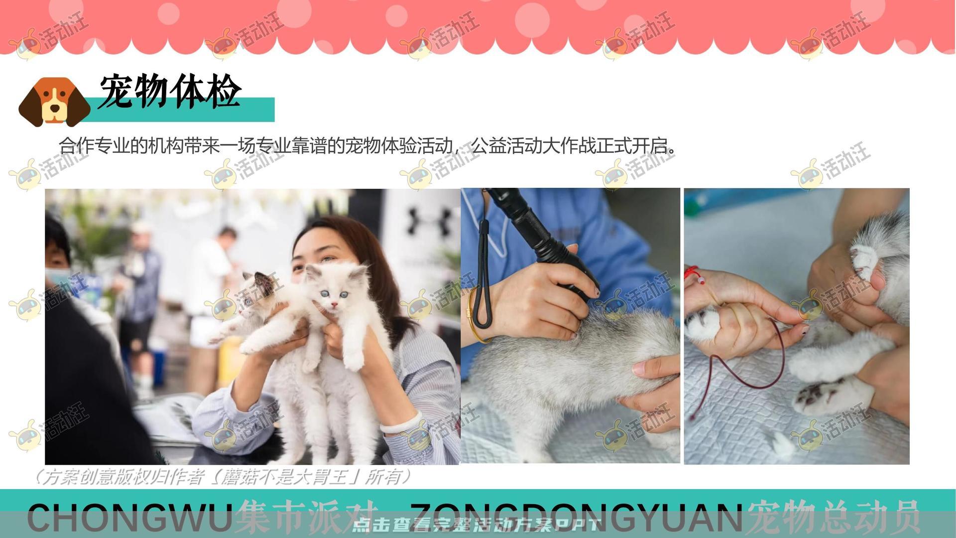 生活节活动策划方案