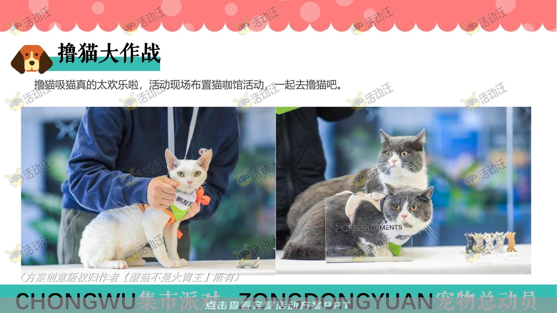 生活节活动策划方案