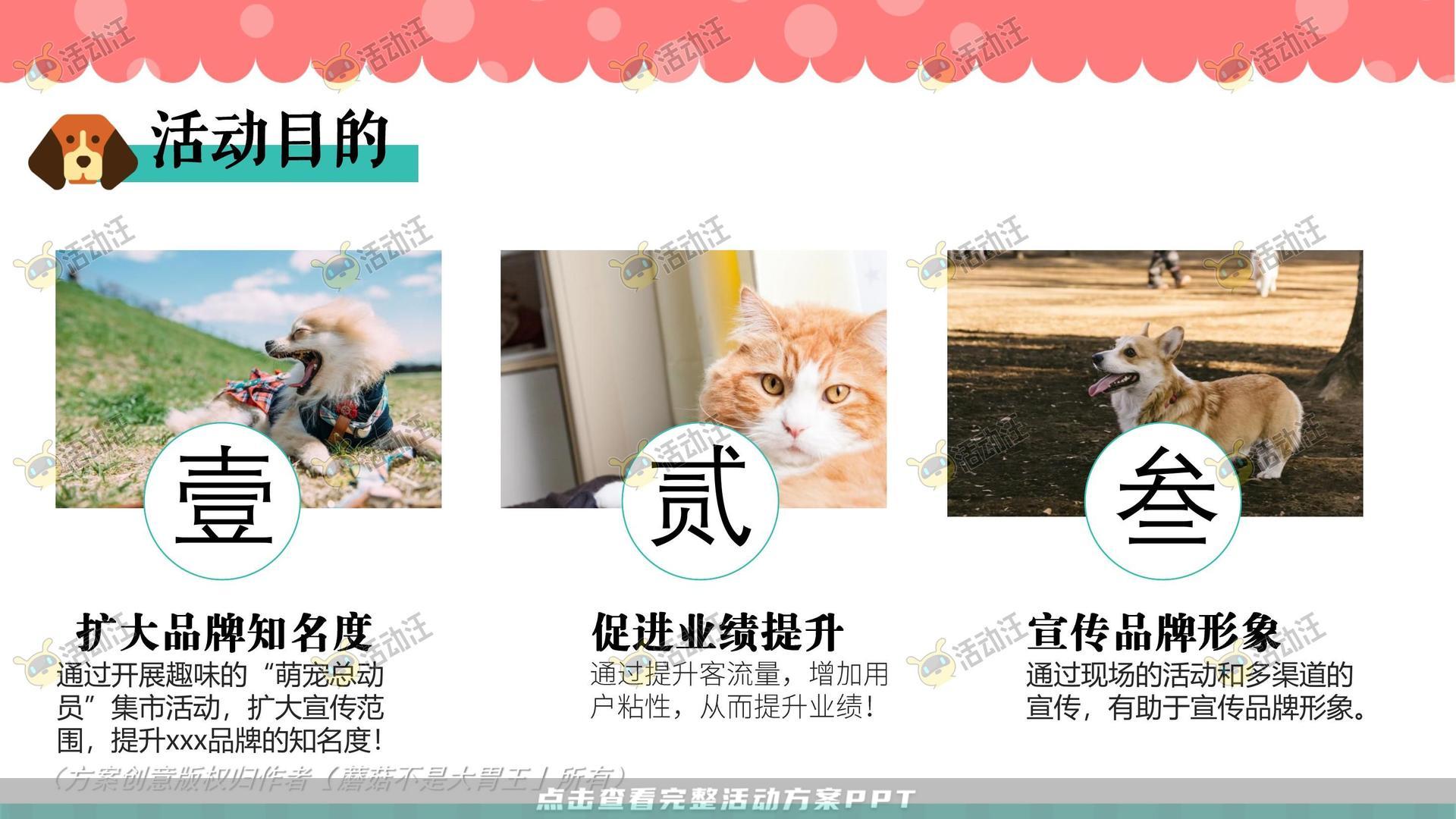 生活节活动策划方案