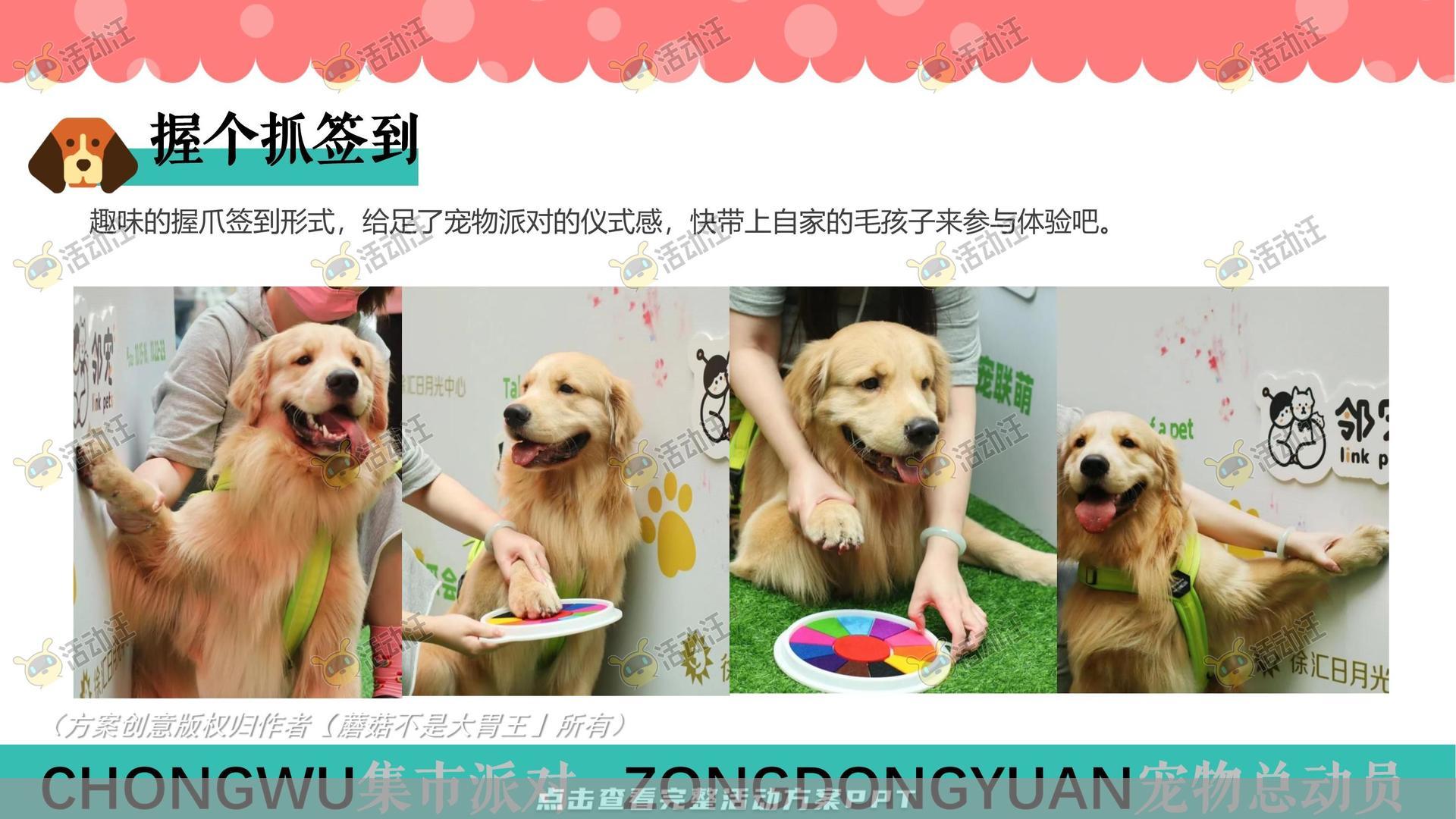 生活节活动策划方案