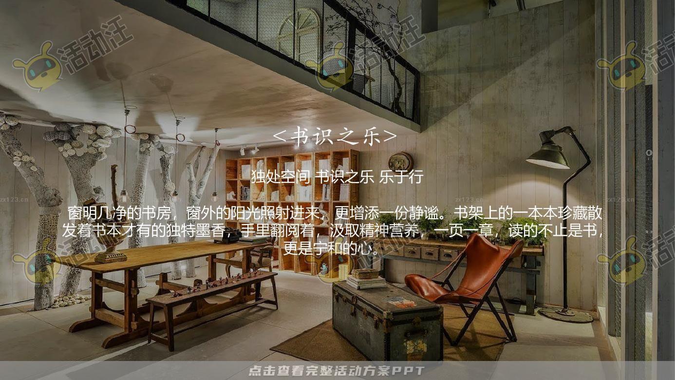 示范区开放活动策划方案
