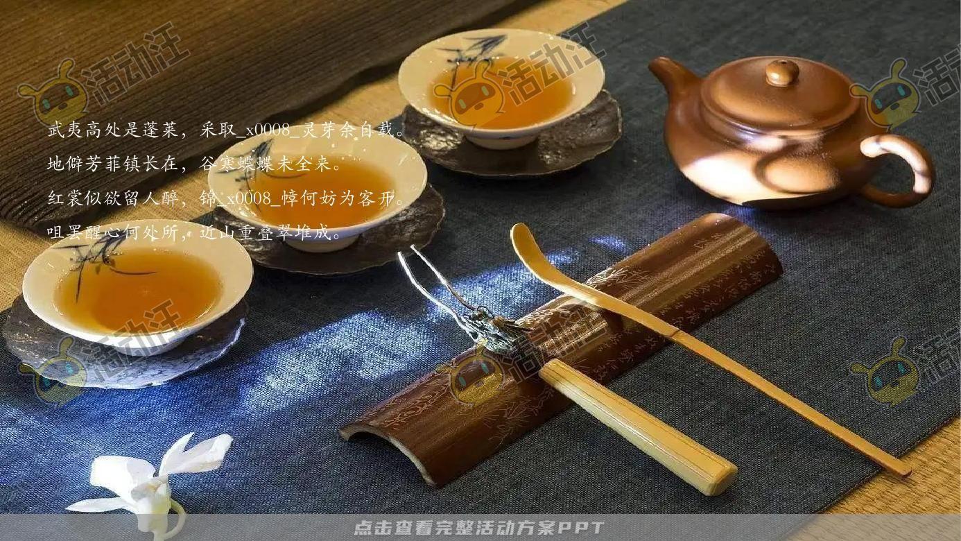 示范区开放活动策划方案