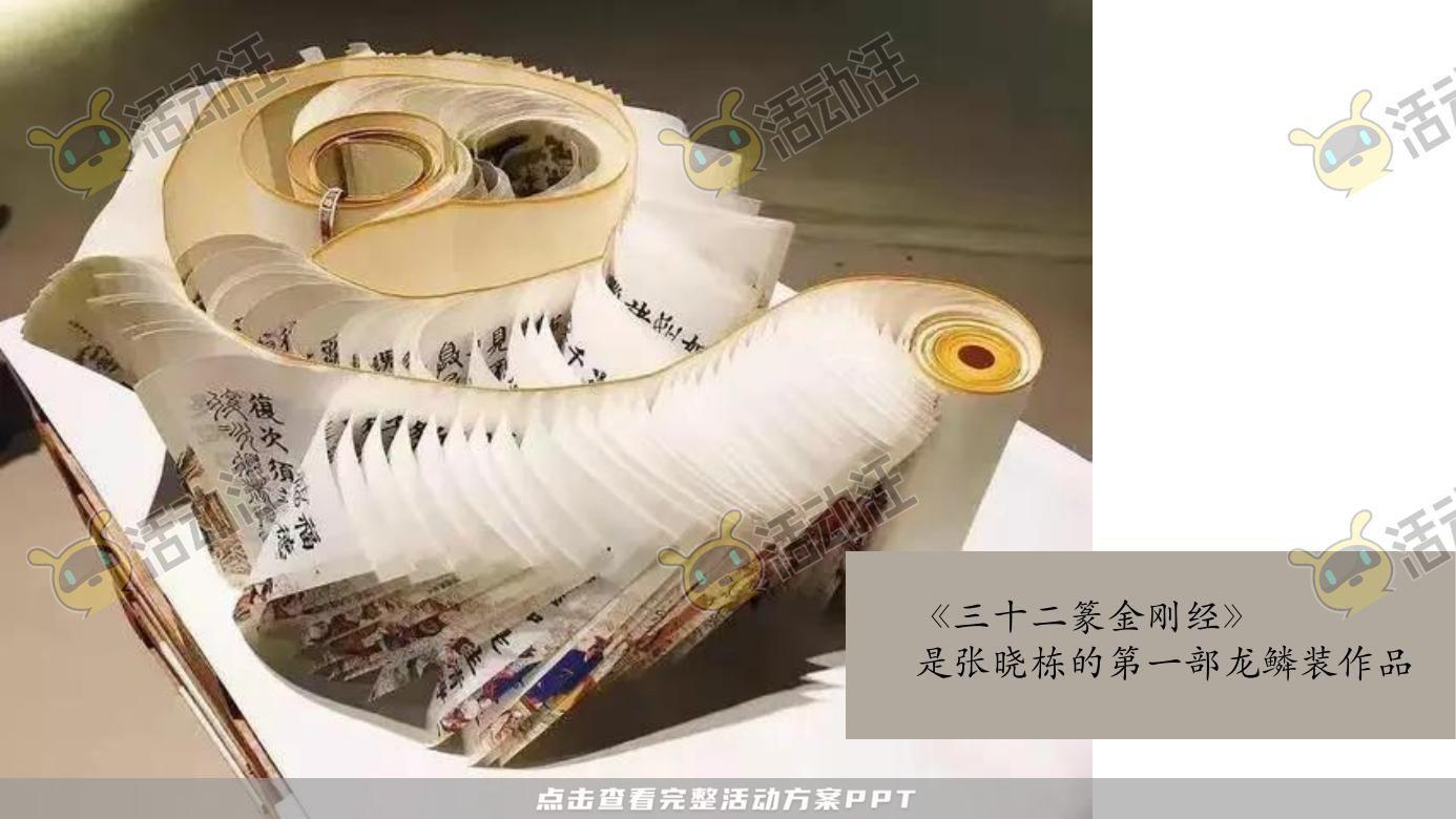 示范区开放活动策划方案