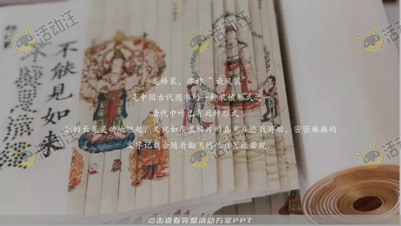 示范区开放活动策划方案