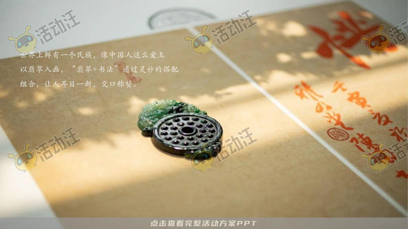 示范区开放活动策划方案