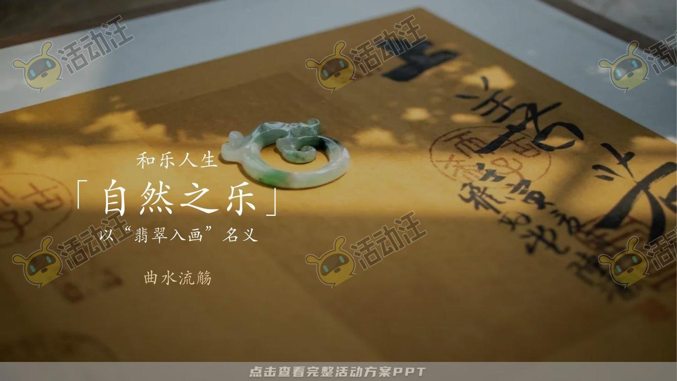 示范区开放活动策划方案