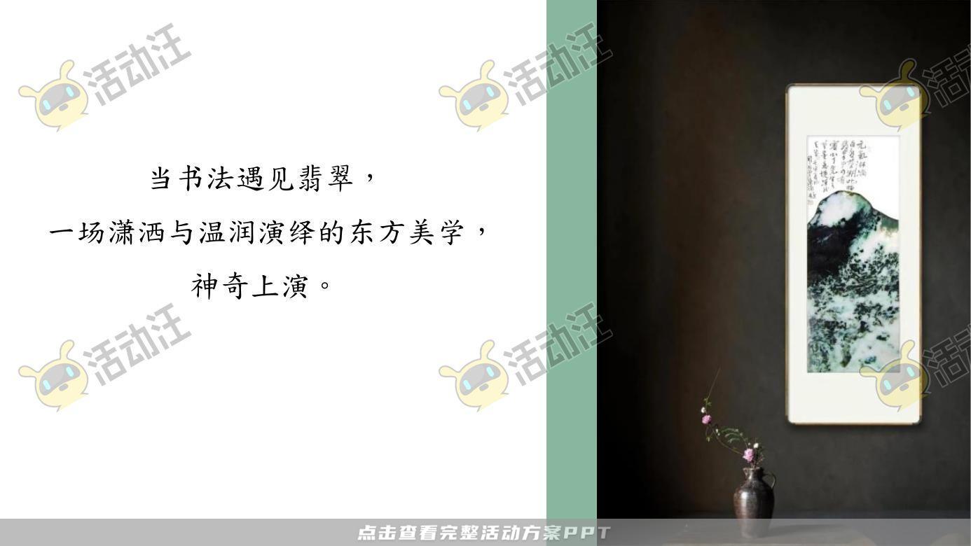 示范区开放活动策划方案