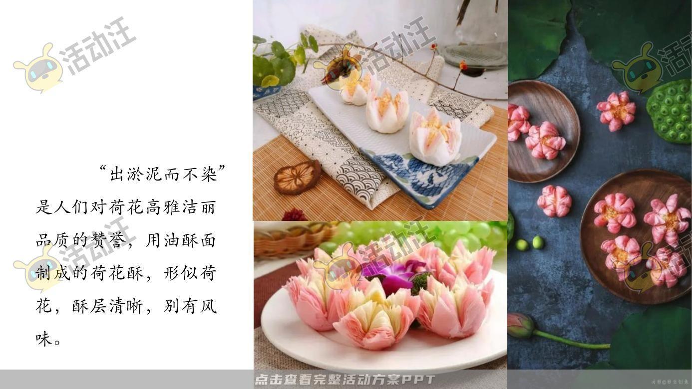 示范区开放活动策划方案