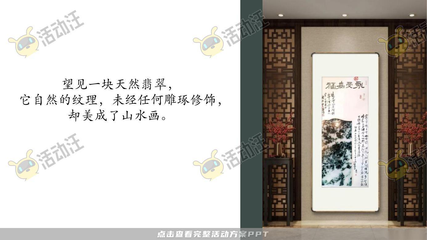 示范区开放活动策划方案