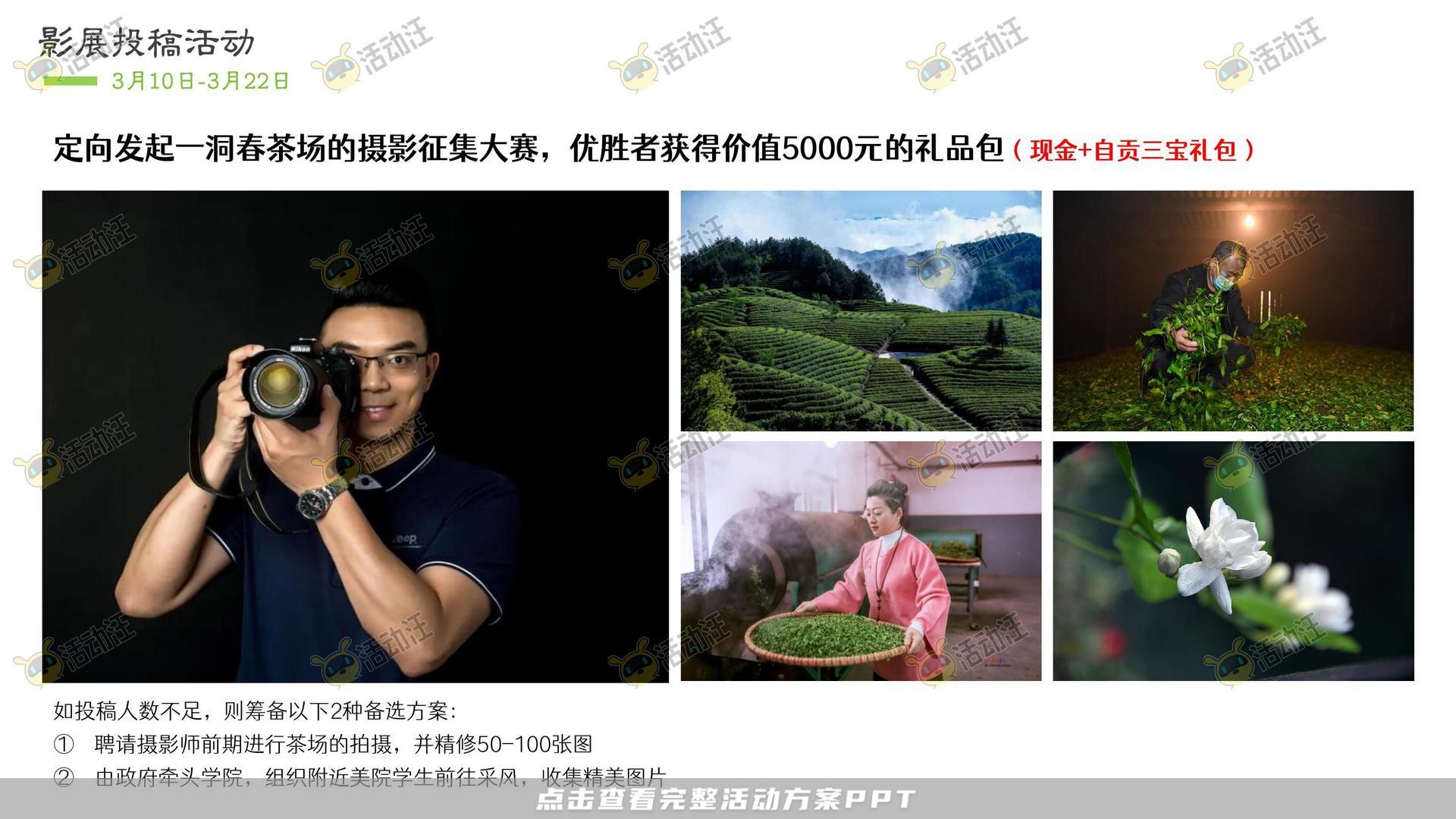 文化节活动策划方案
