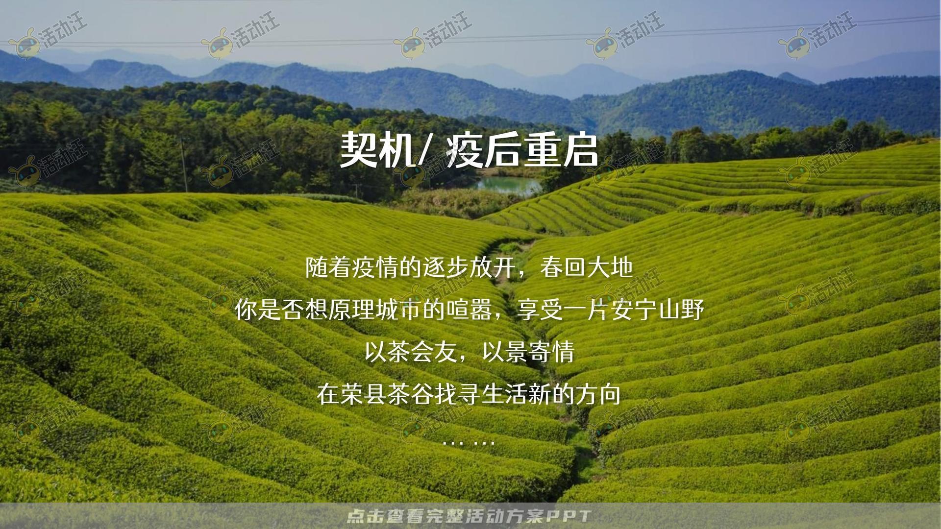 文化节活动策划方案