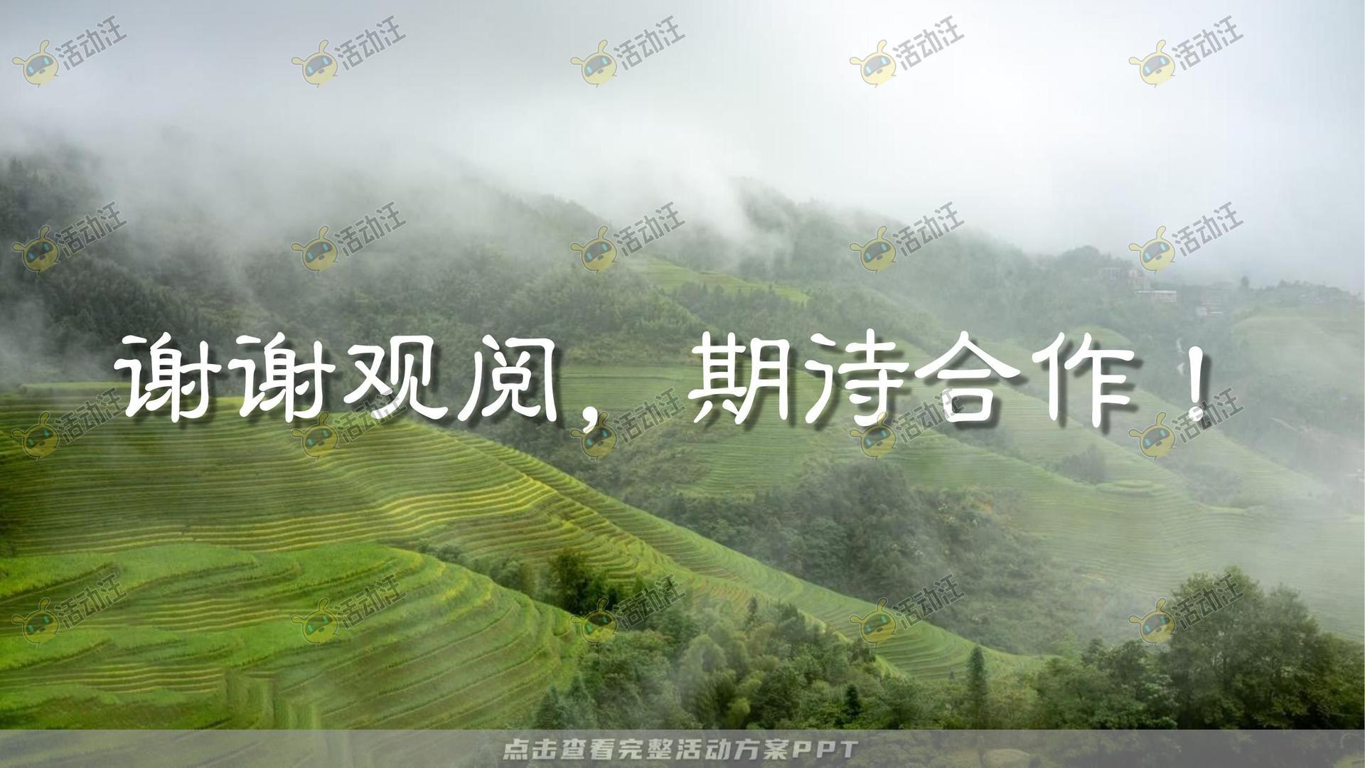 文化节活动策划方案