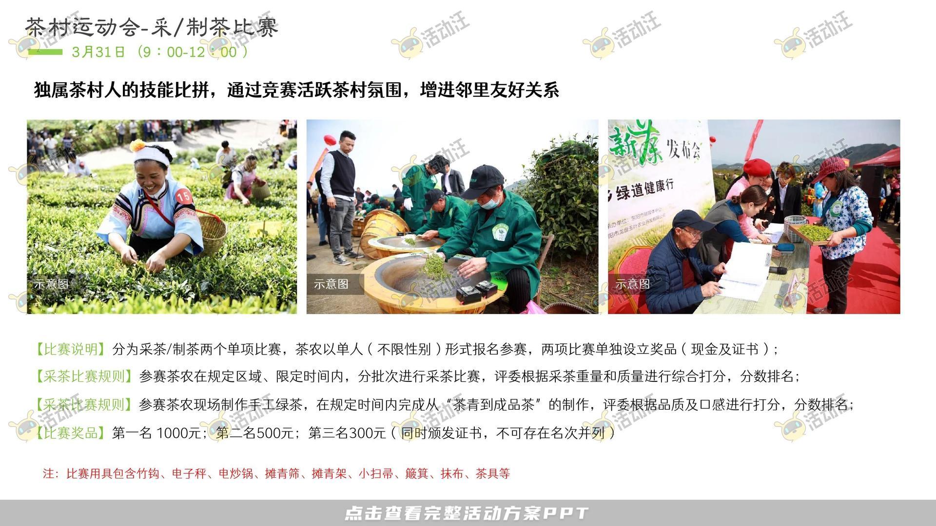 文化节活动策划方案