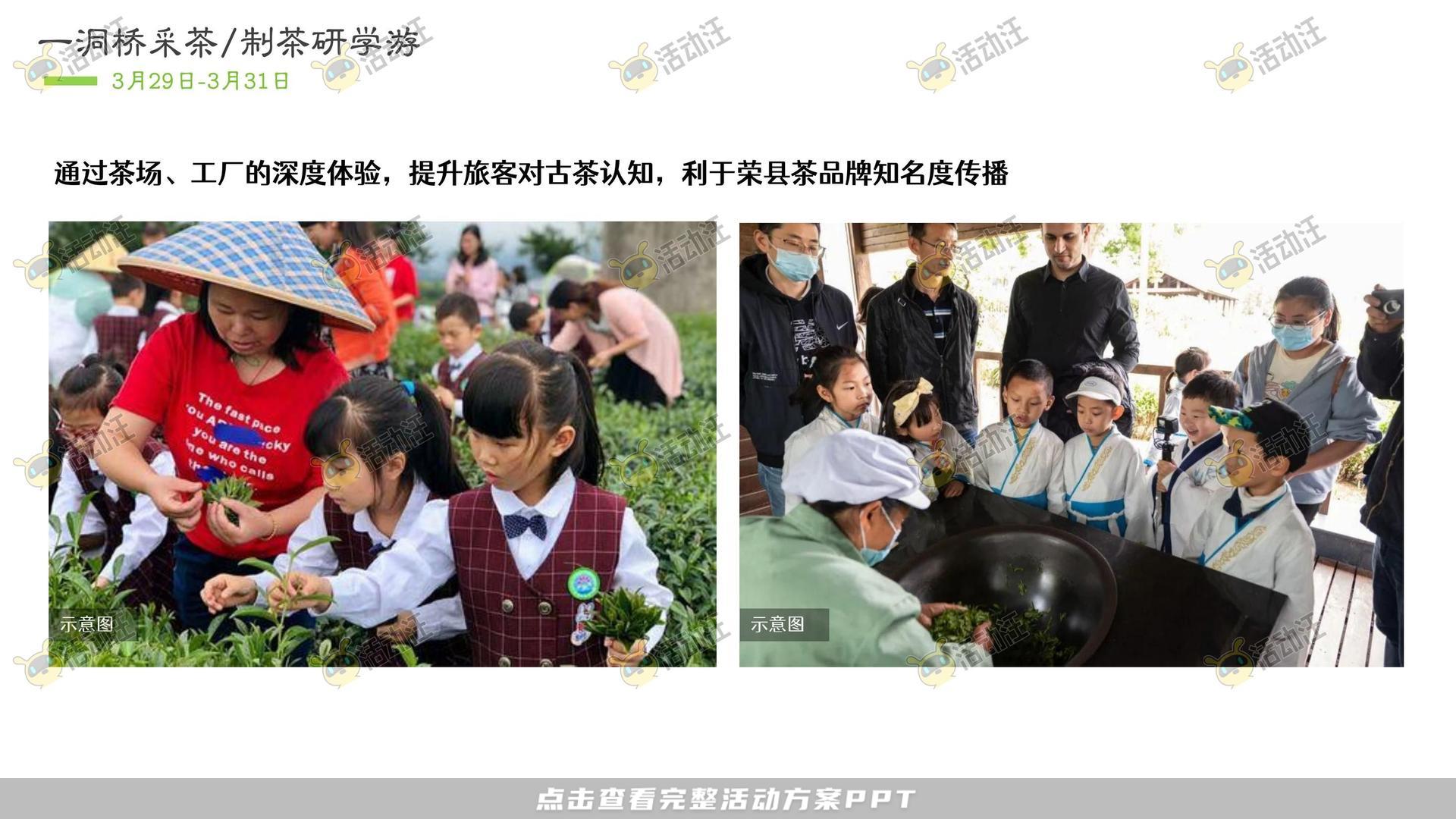 文化节活动策划方案