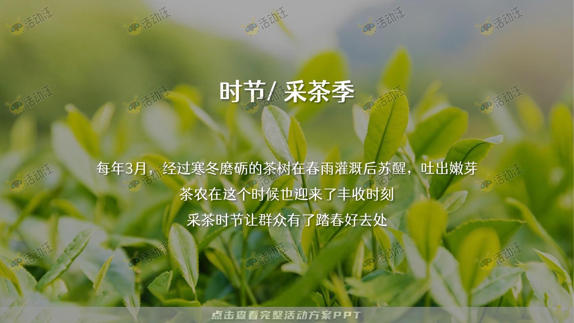 文化节活动策划方案