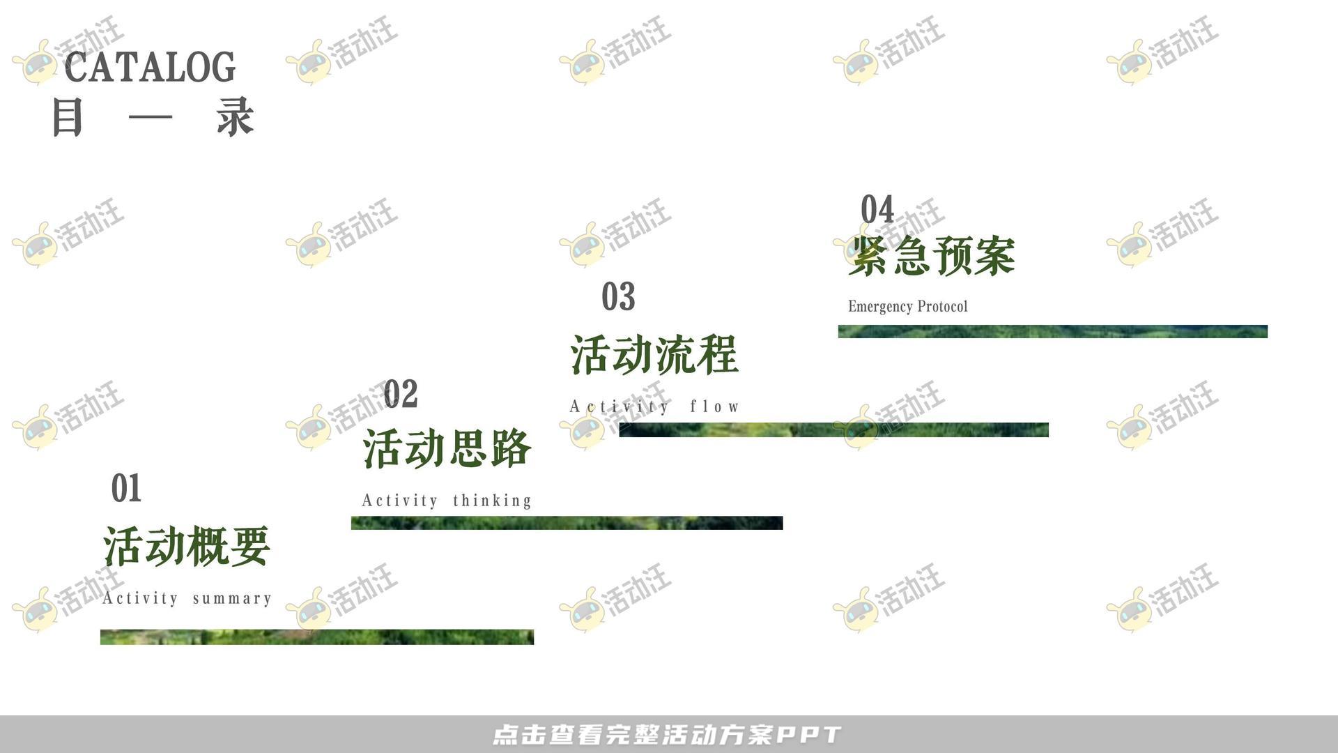 文化节活动策划方案