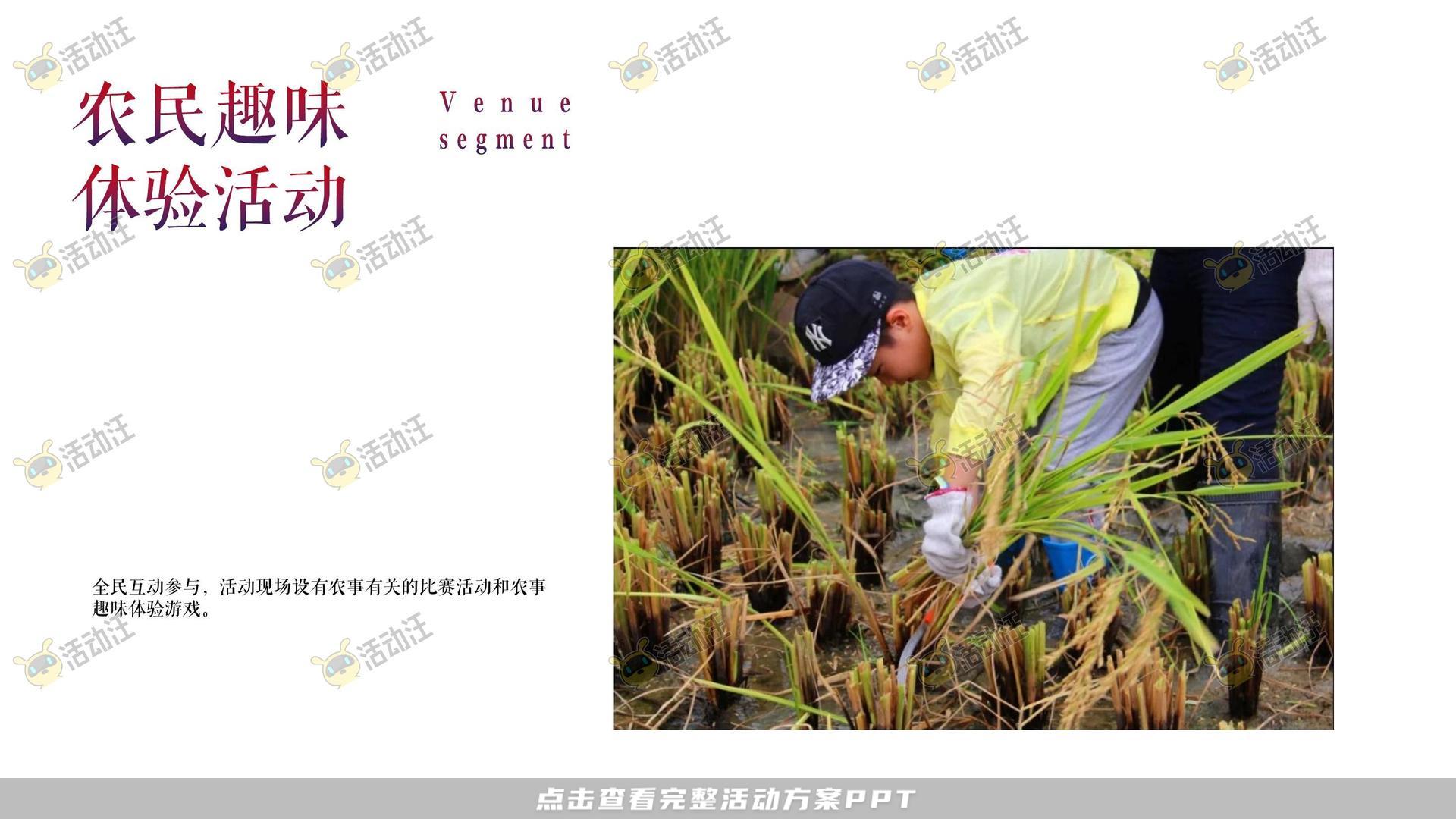 文化节活动策划方案