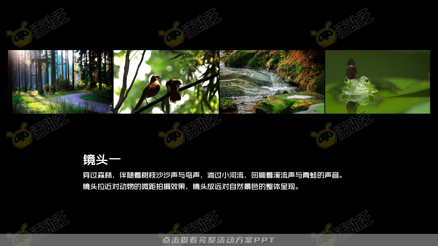 发布会活动策划方案
