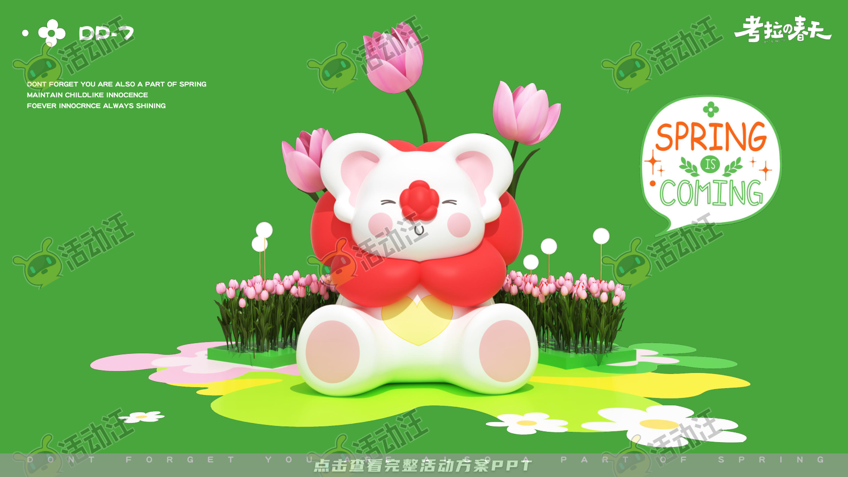 考拉的春天