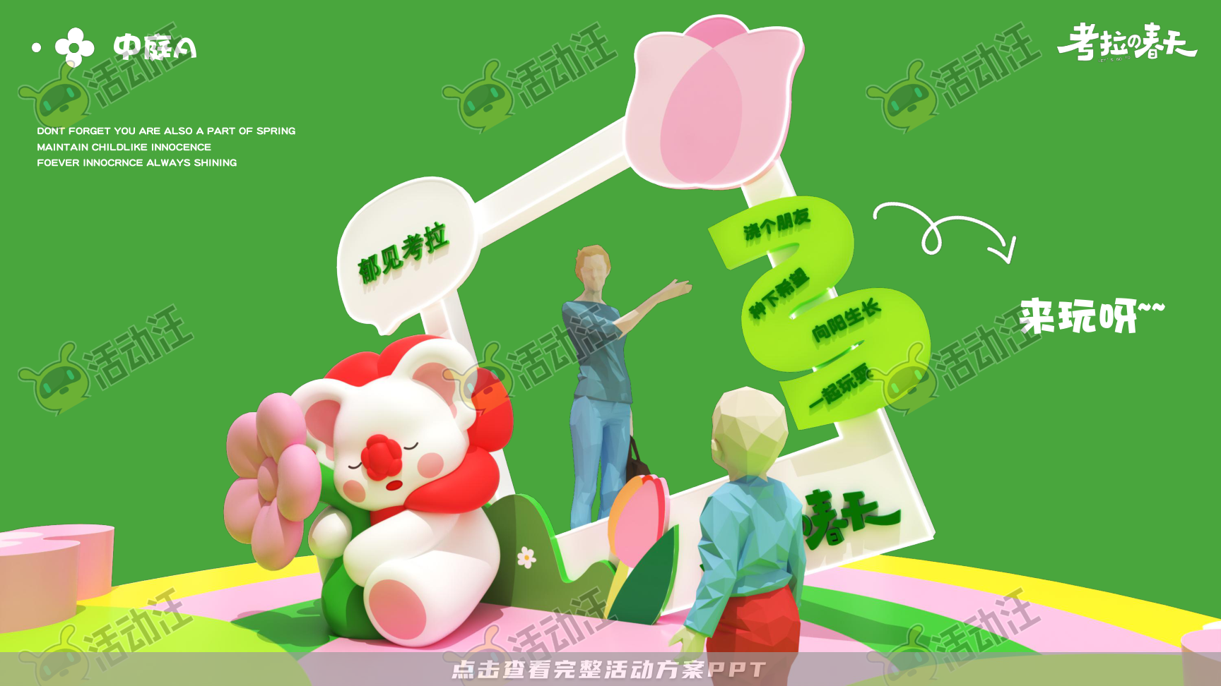 考拉的春天
