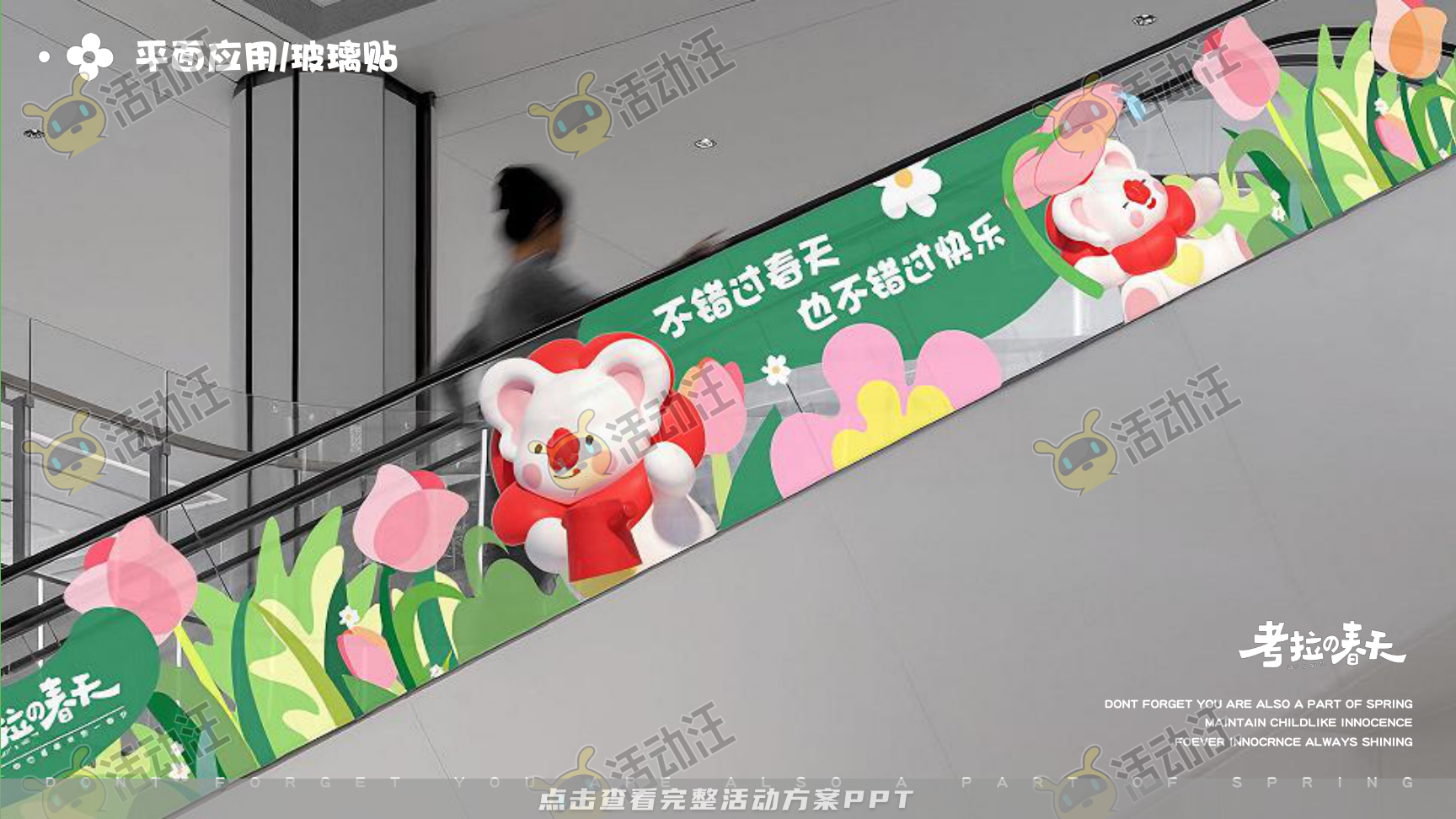 考拉的春天