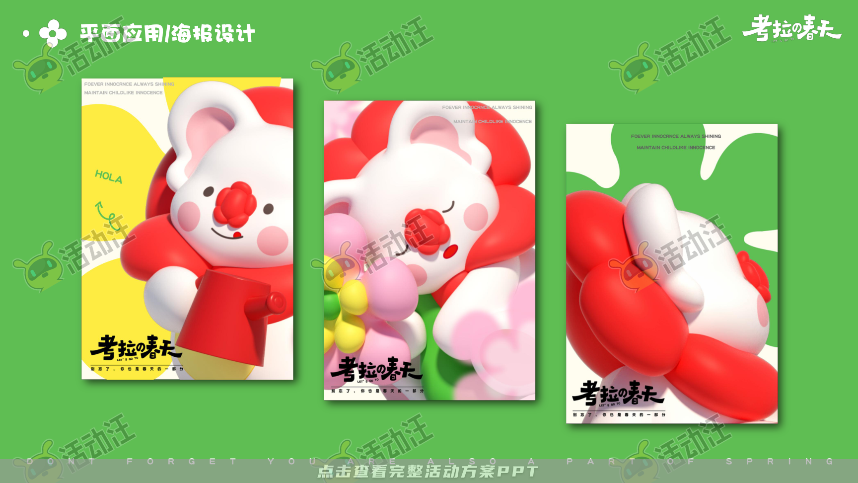 考拉的春天