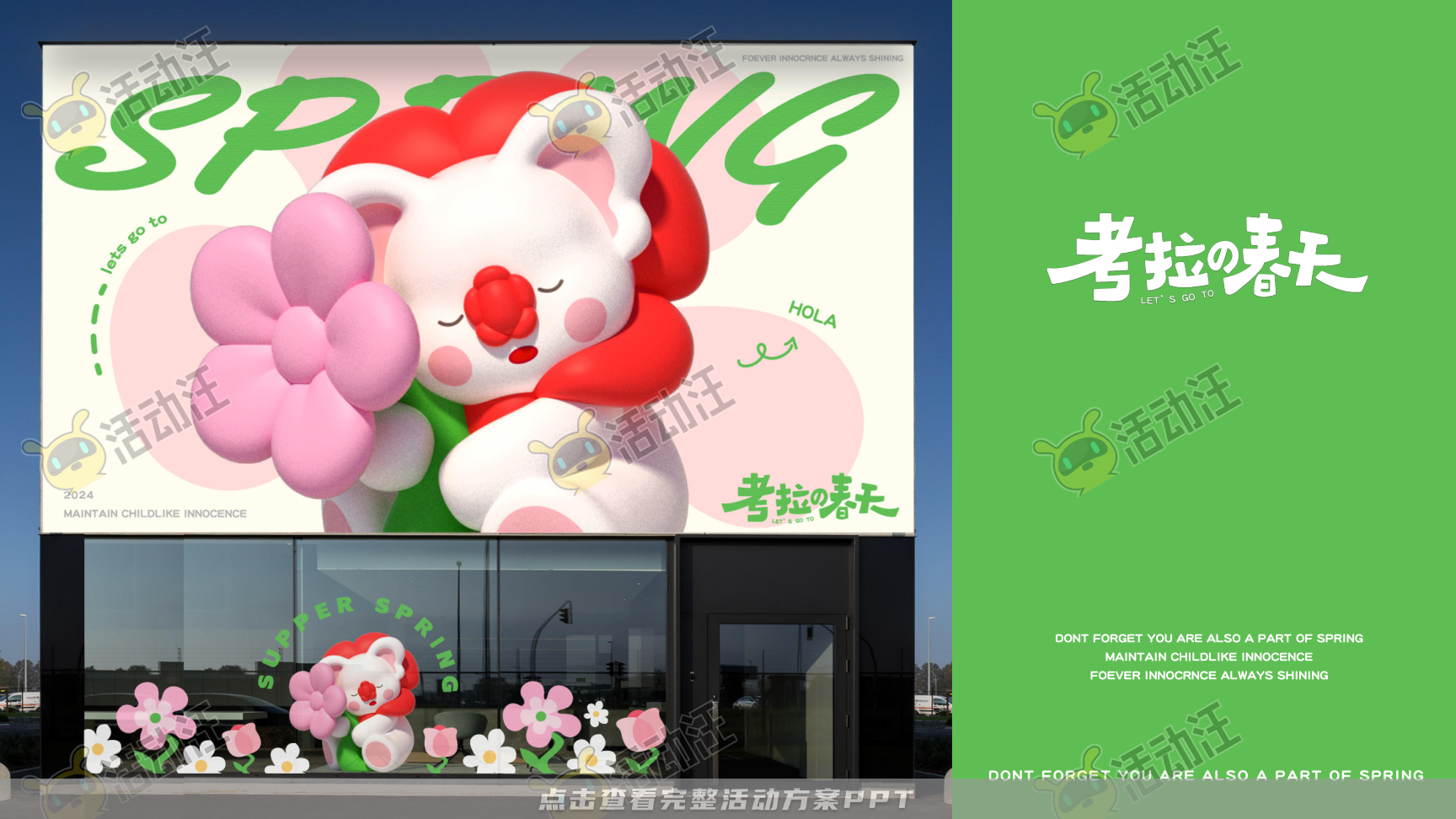 考拉的春天