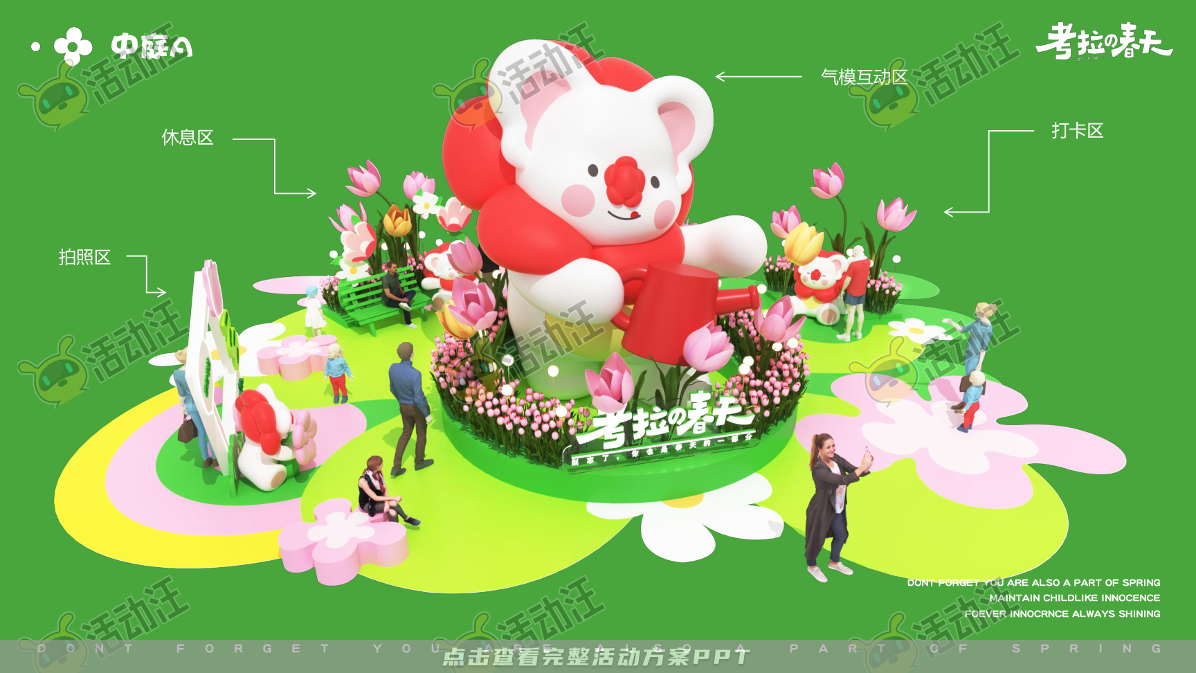 考拉的春天