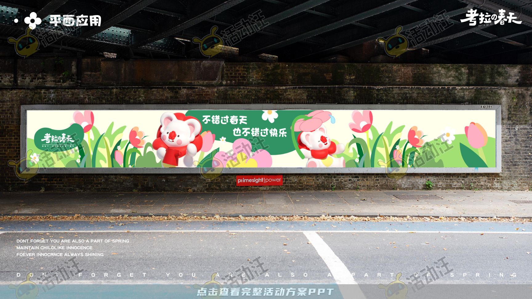 考拉的春天