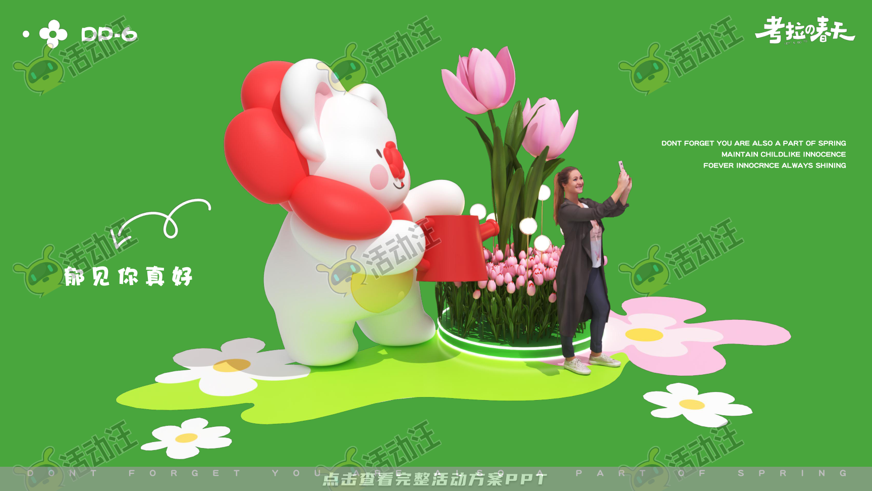 考拉的春天