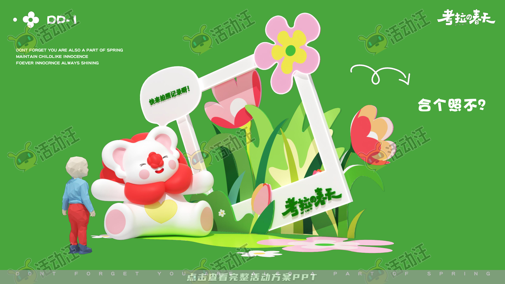 考拉的春天