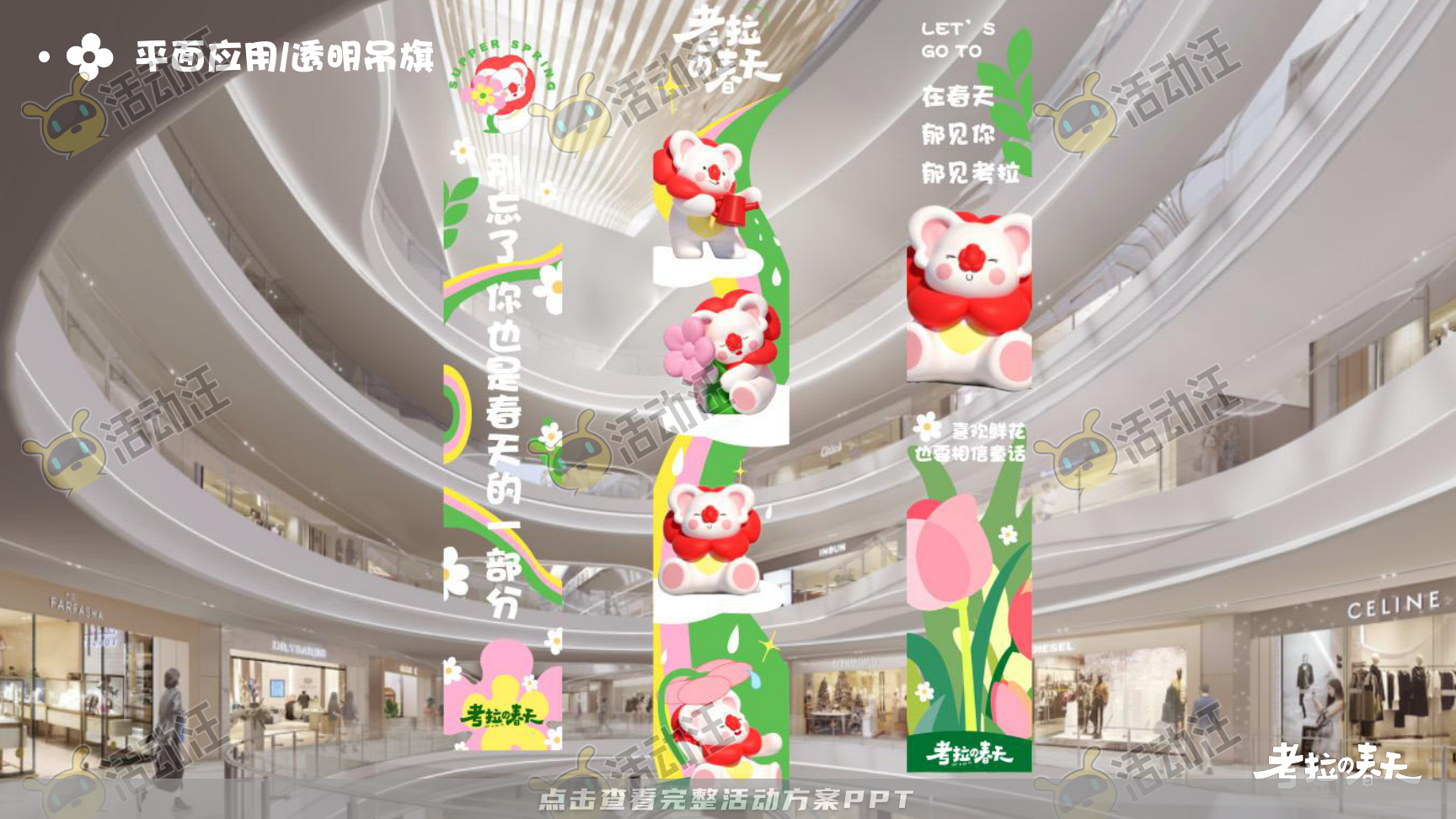 考拉的春天